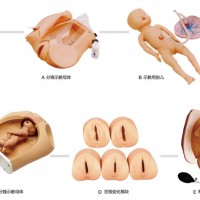 高級(jí)腹部觸診、分娩機(jī)轉(zhuǎn)綜合模型