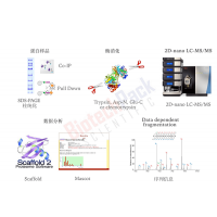 蛋白膠點(diǎn)、膠條、IP樣品蛋白質(zhì)鑒定